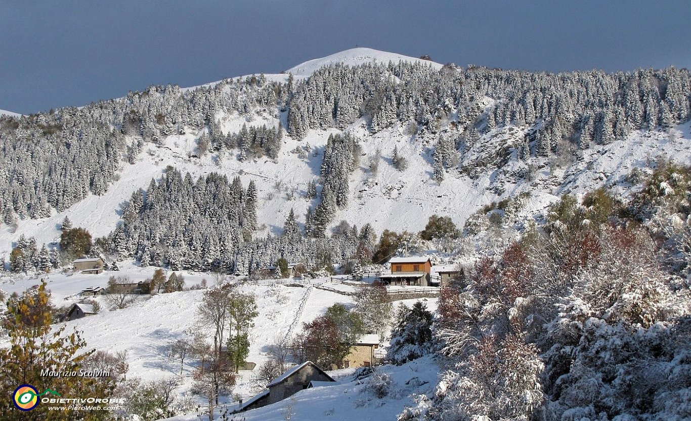 09 Ecco lo Zuc di Valbona, con le sue pinete....JPG